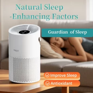 Negative Ion Air Purifier